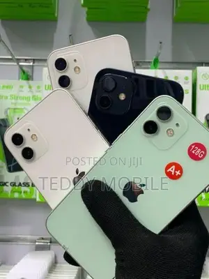 Apple iPhone 12 mini (Used)