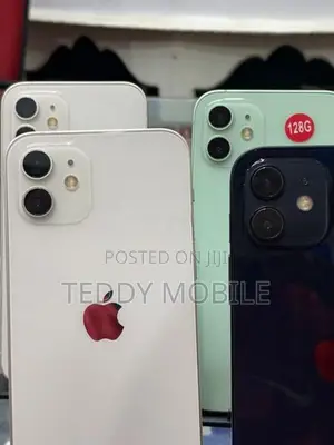 Apple iPhone 12 mini (Used)