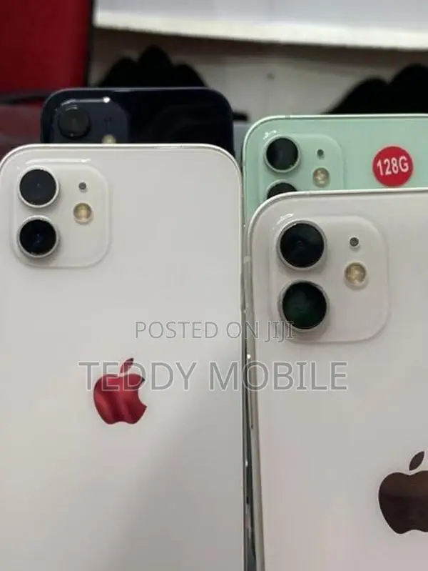 Apple iPhone 12 mini (Used)
