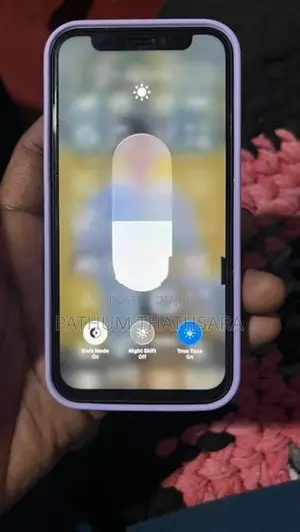 Apple iPhone 12 mini (Used)