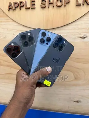 Apple iPhone 13 Pro 256GB (Used)