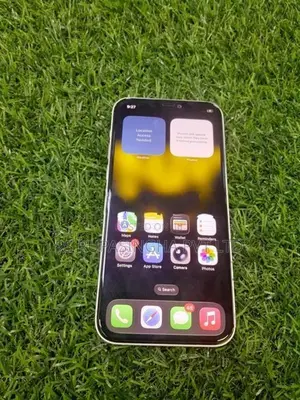 Apple iPhone 12 (Used)