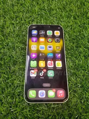 Apple iPhone 12 (Used)
