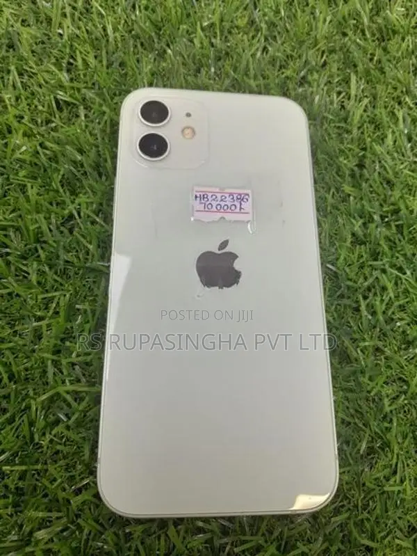 Apple iPhone 12 (Used)
