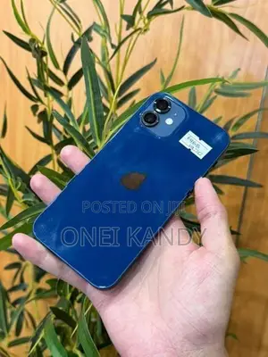 Apple iPhone 12 64GB (Used)