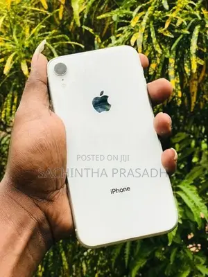 Apple iPhone XR (Used)