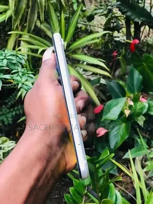 Apple iPhone XR (Used)