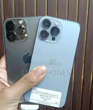 Apple iPhone 13 Pro 256GB (Used)