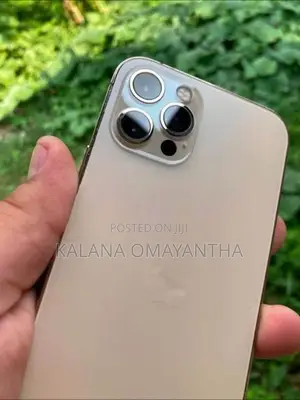 Apple iPhone 12 Pro (Used)