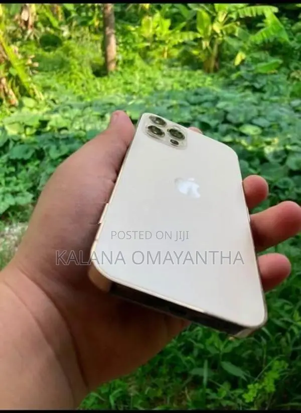 Apple iPhone 12 Pro (Used)