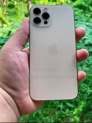 Apple iPhone 12 Pro (Used)