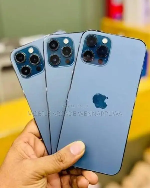 Apple iPhone 12 Pro Max (Used)