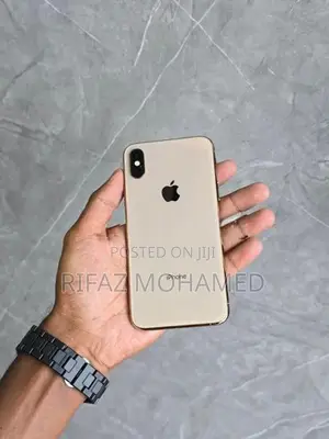 Apple iPhone XS 256GB (Used)