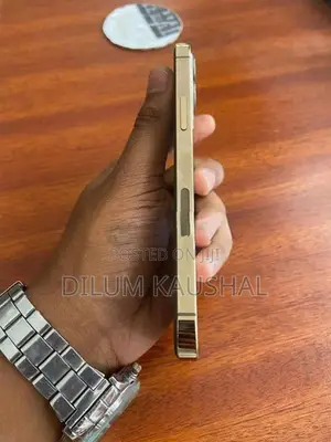 Apple iPhone 12 Pro 256GB (Used)