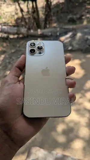 Apple iPhone 12 Pro Max (Used)