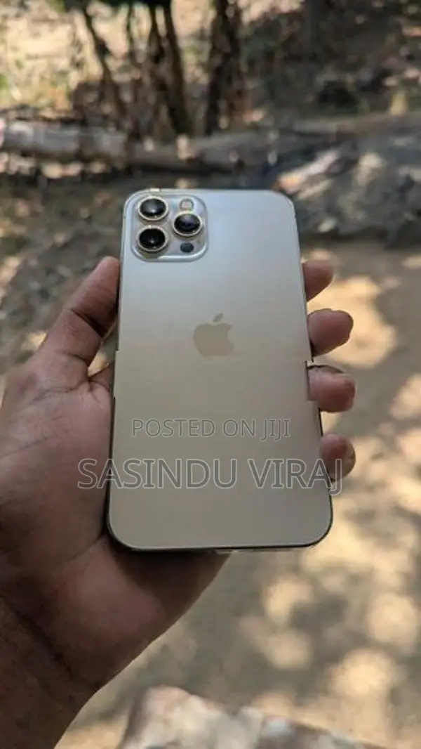 Apple iPhone 12 Pro Max (Used)