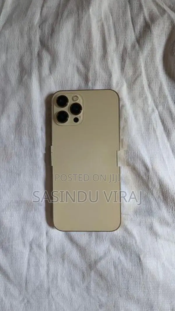 Apple iPhone 12 Pro Max (Used)