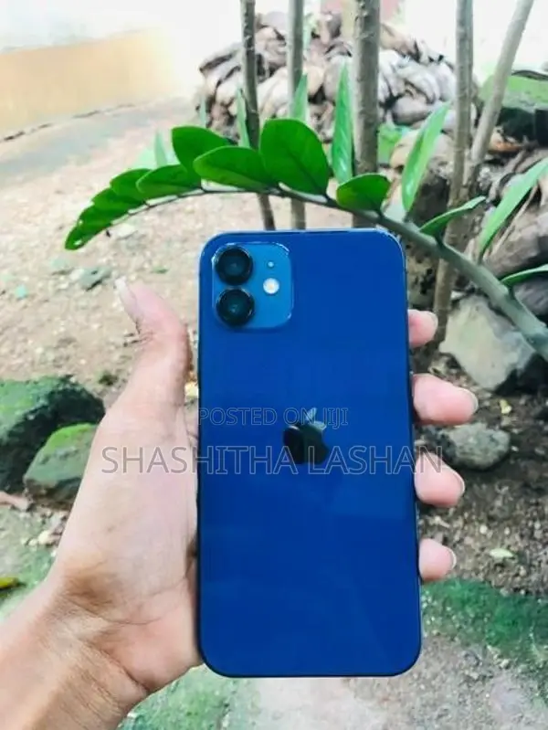 Apple iPhone 12 (Used)