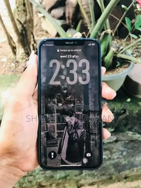 Apple iPhone 12 (Used)