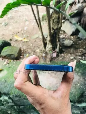 Apple iPhone 12 (Used)