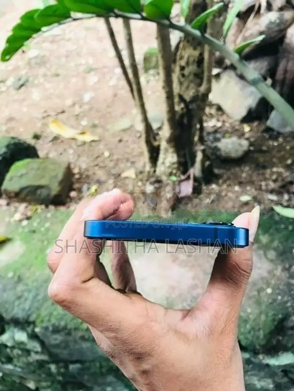 Apple iPhone 12 (Used)
