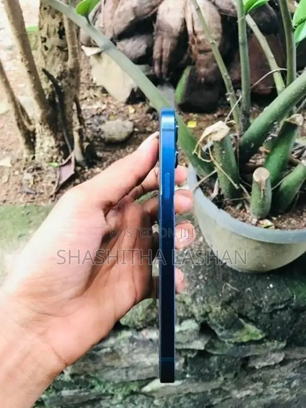Apple iPhone 12 (Used)