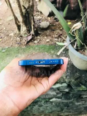 Apple iPhone 12 (Used)