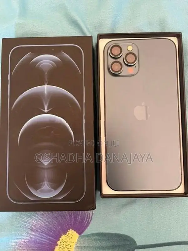 Apple iPhone 12 Pro Max (Used)