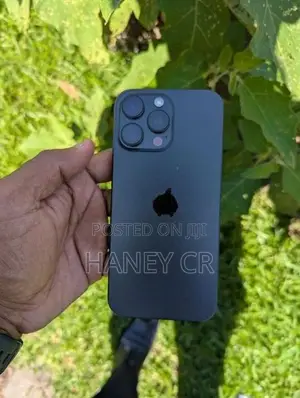 Apple iPhone 16 Pro Max 256GB (Used)