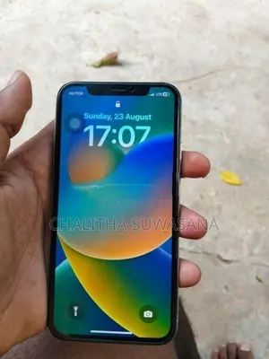 Apple iPhone X (Used)