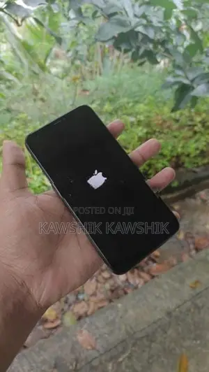 Apple iPhone XS Max (Used)