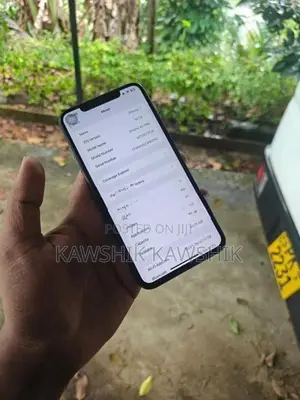 Apple iPhone XS Max (Used)