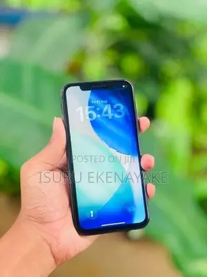 Apple iPhone 11 (Used)