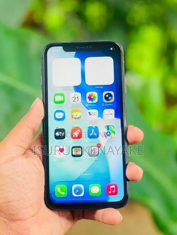 Apple iPhone 11 (Used)