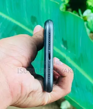 Apple iPhone 11 (Used)