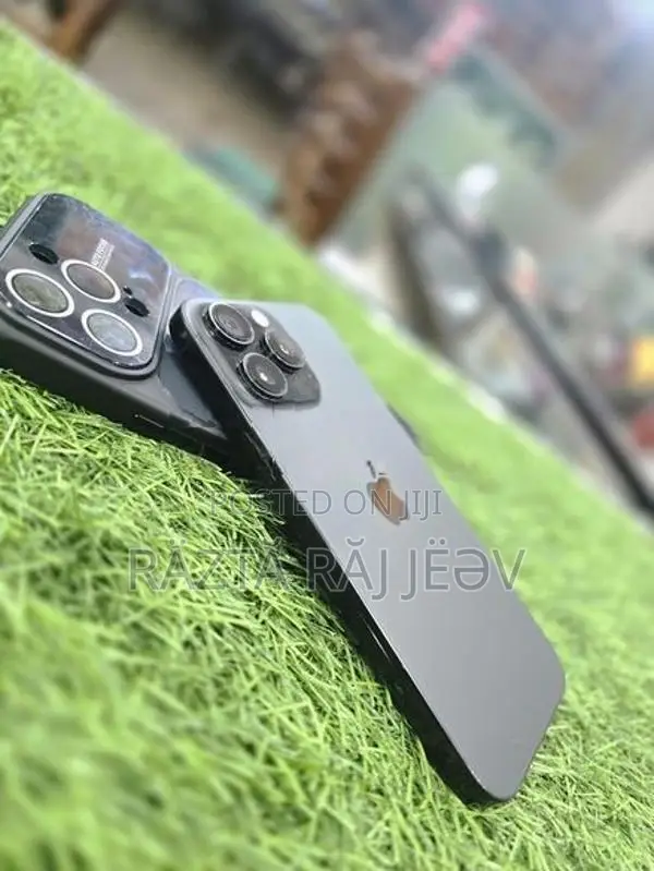 Apple iPhone 16 Pro Max (Used)