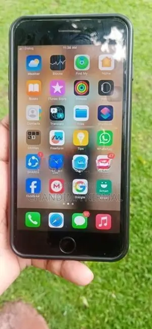 Apple iPhone 8 Plus (Used)
