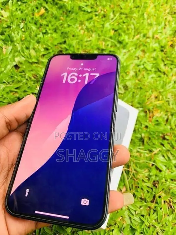 Apple iPhone 13 (Used)