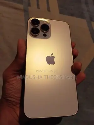 Apple iPhone 13 Pro Max 128gb (Used)