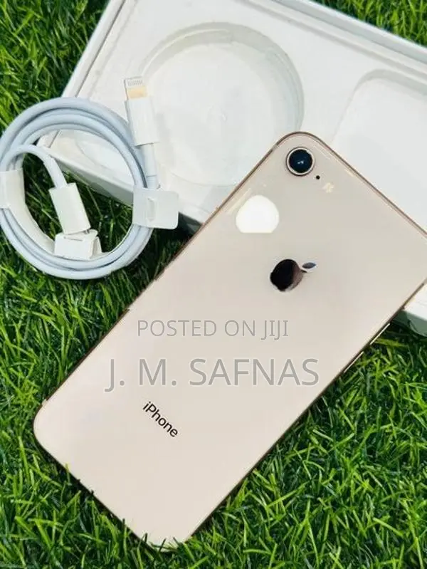 Apple iPhone 8 (Used)