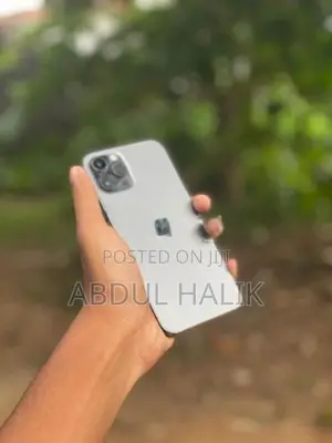 Apple iPhone 12 Pro (Used)