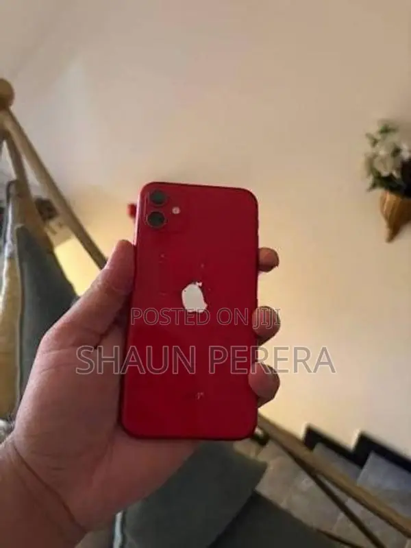 Apple iPhone 11 (Used)