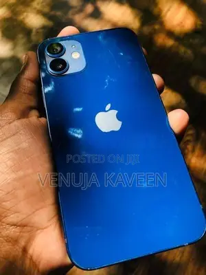 Apple iPhone 12 Blue (Used)