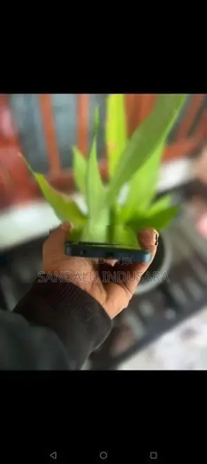 ZTE Nubia V60 (Used)