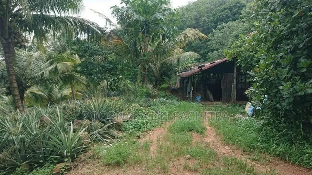 Agricultural Estate for Sale in Amithirigala