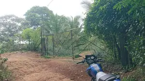 Agricultural Estate for Sale in Amithirigala