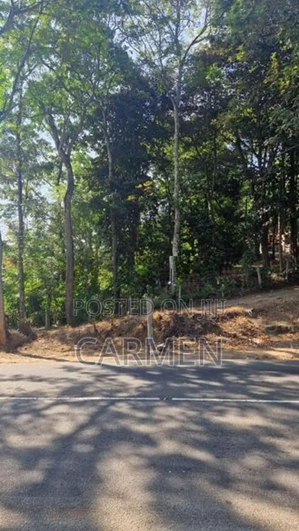 Land in Oruthota, Gomagoda