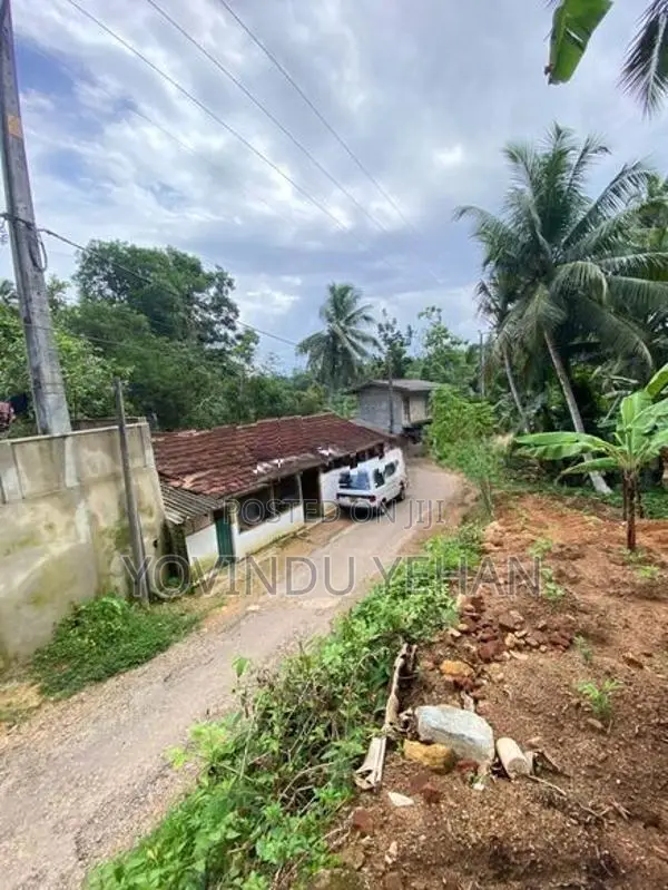 ගෝනපිනුවලින් පර්චස් 50 ක අගනා ඉඩමක්