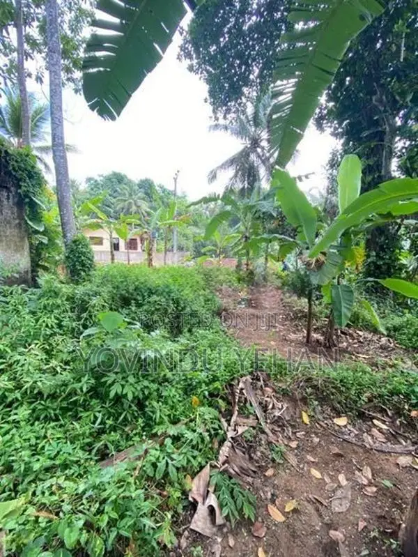 ගෝනපිනුවලින් පර්චස් 50 ක අගනා ඉඩමක්