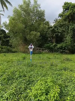 නාරම්මල ඉඩමක් විකිණීමට